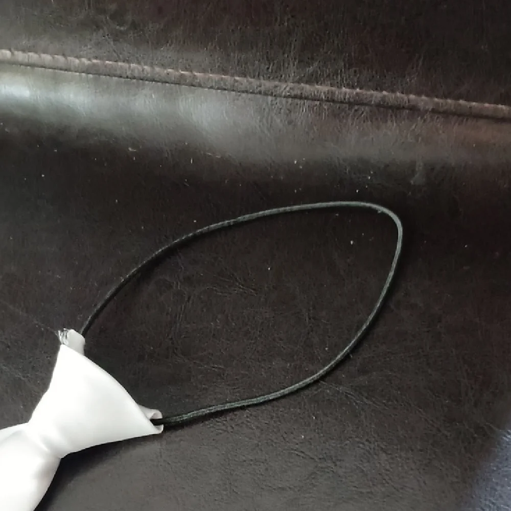Elegant White Necktie
